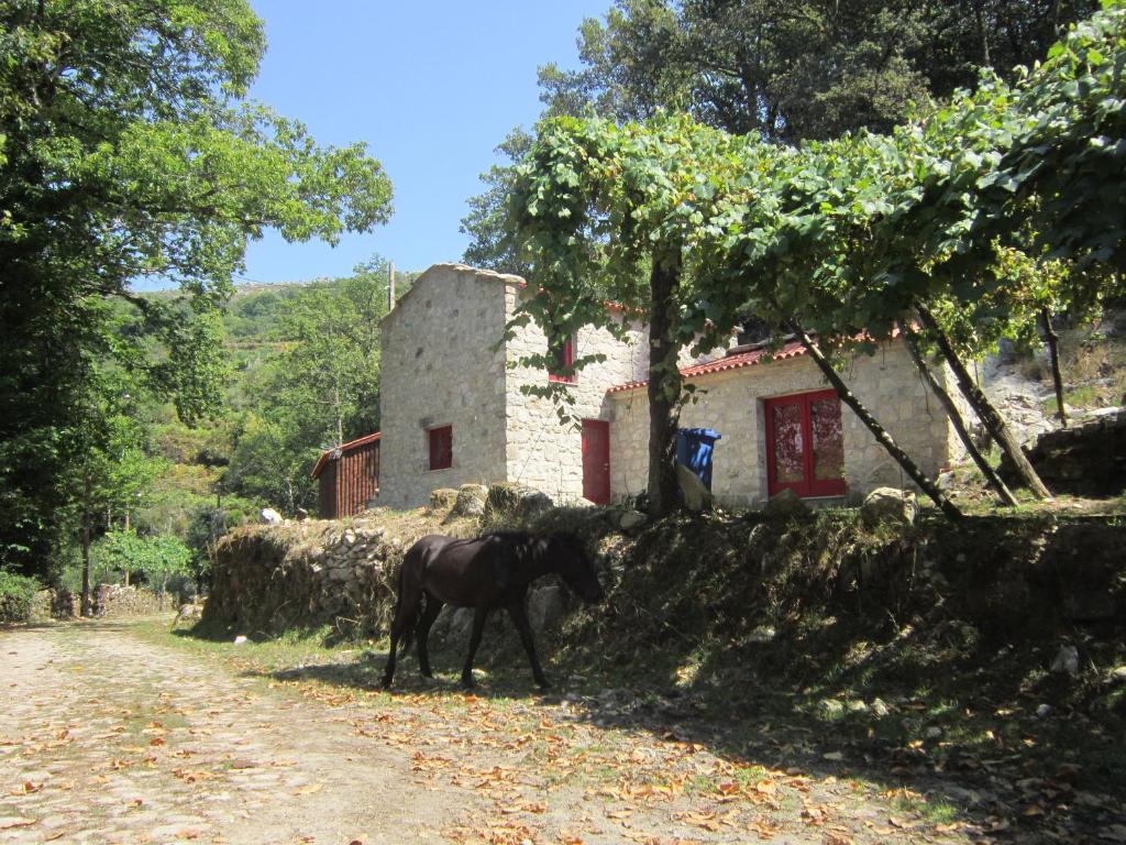 PICOTO HOUSE