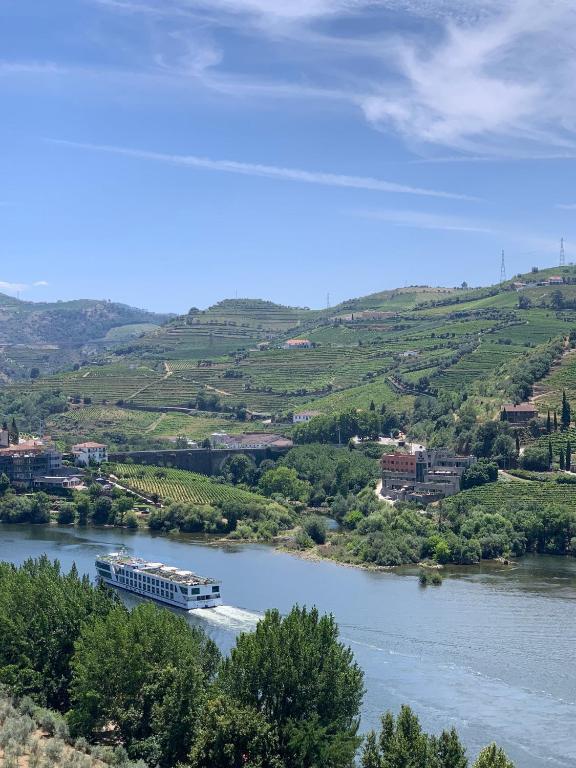 DOURO Á VISTA
