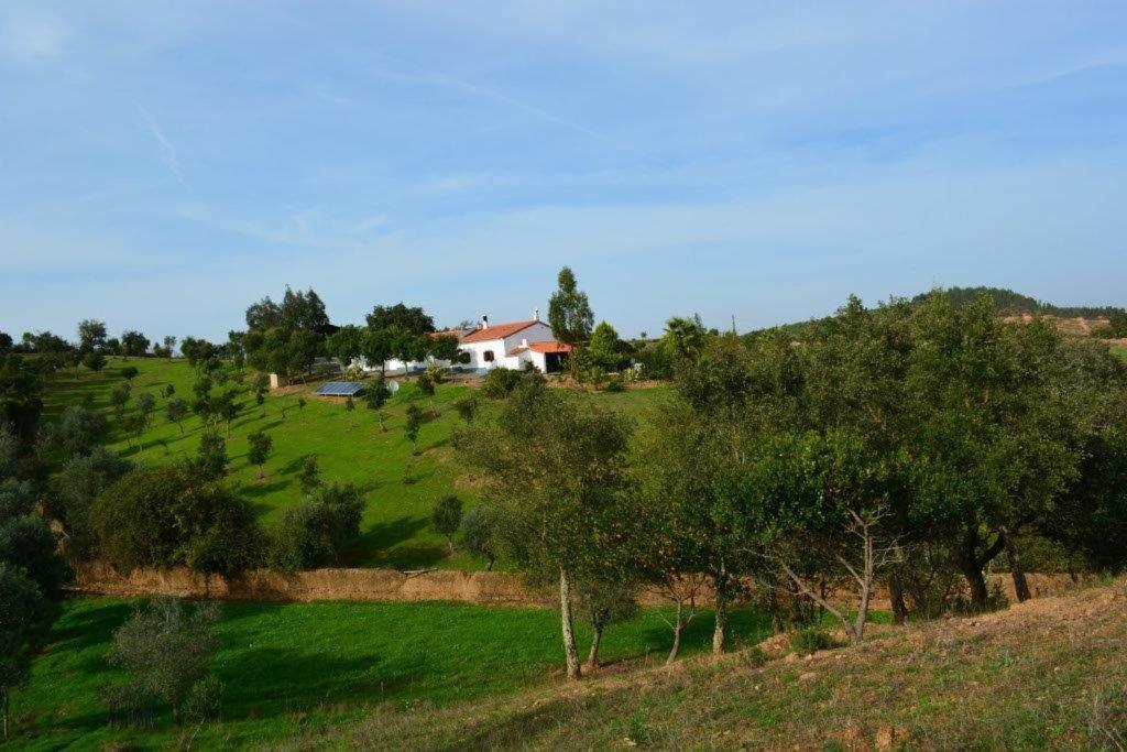 QUINTA DO GRILO - B&B