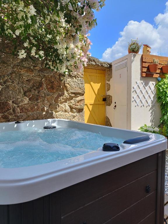 Image of Encanto