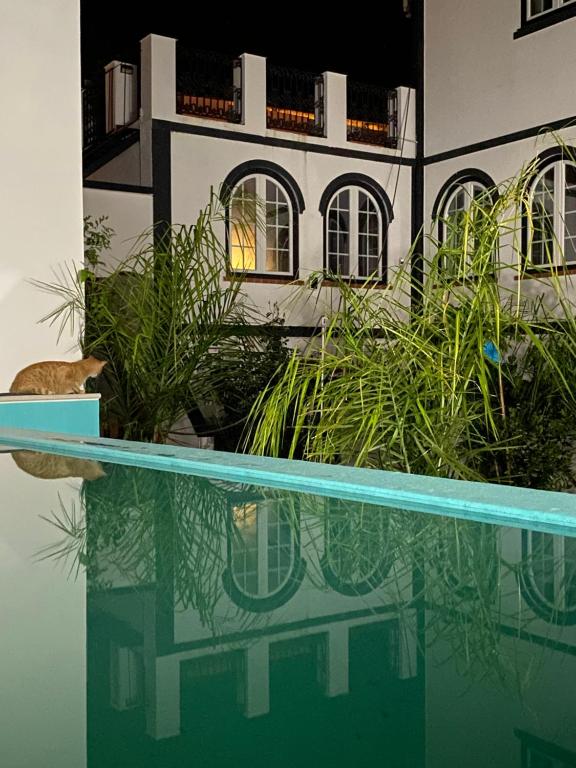 Image of Patio da Villa - Coruche Guest House