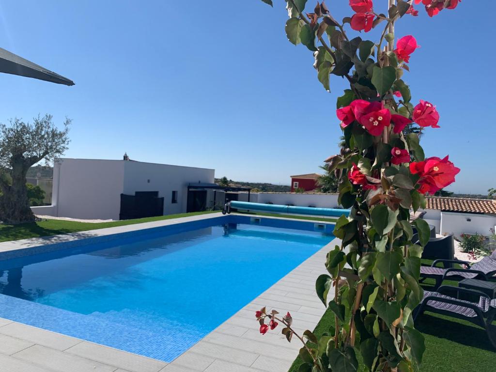 Image of Quinta Ria Formosa