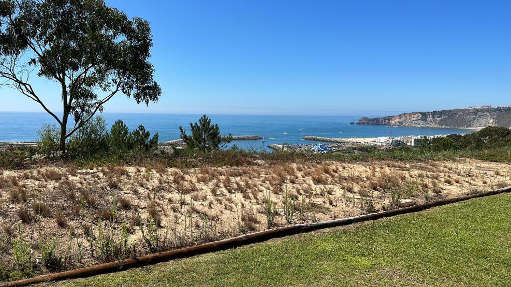 Image of Mar À Vista - P