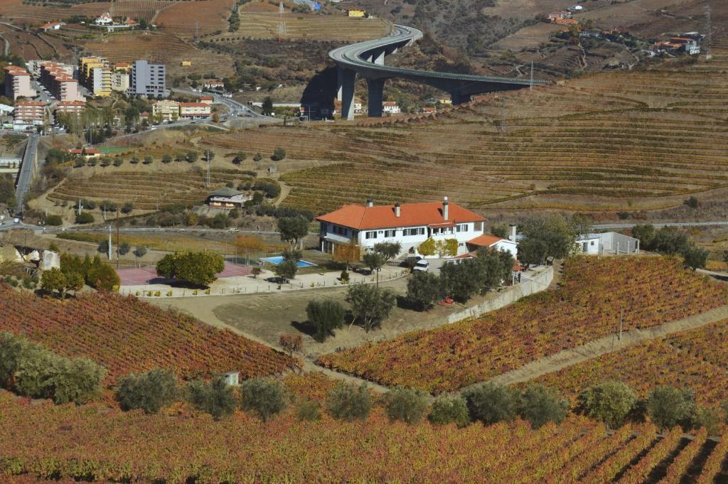 CASA DA FORMIGA