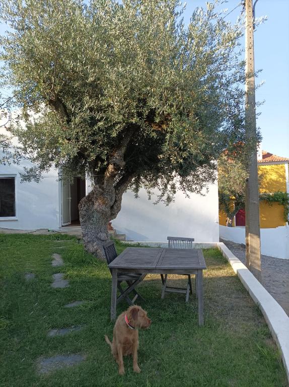 Image of Casa da Maria Raposa