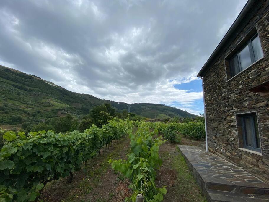 Image of Quinta do Enxertado