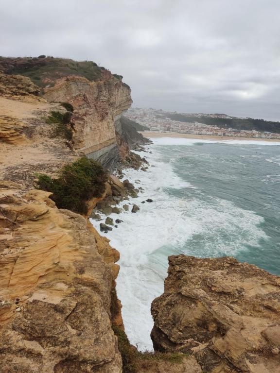 Image of Manel Mar