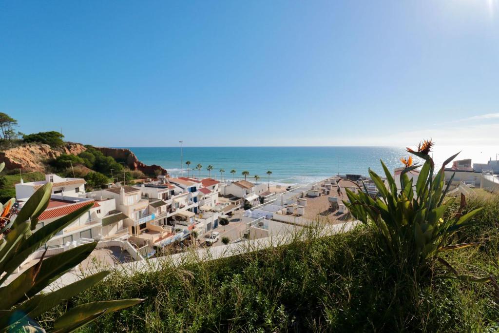 APARTAMENTO JULIETA