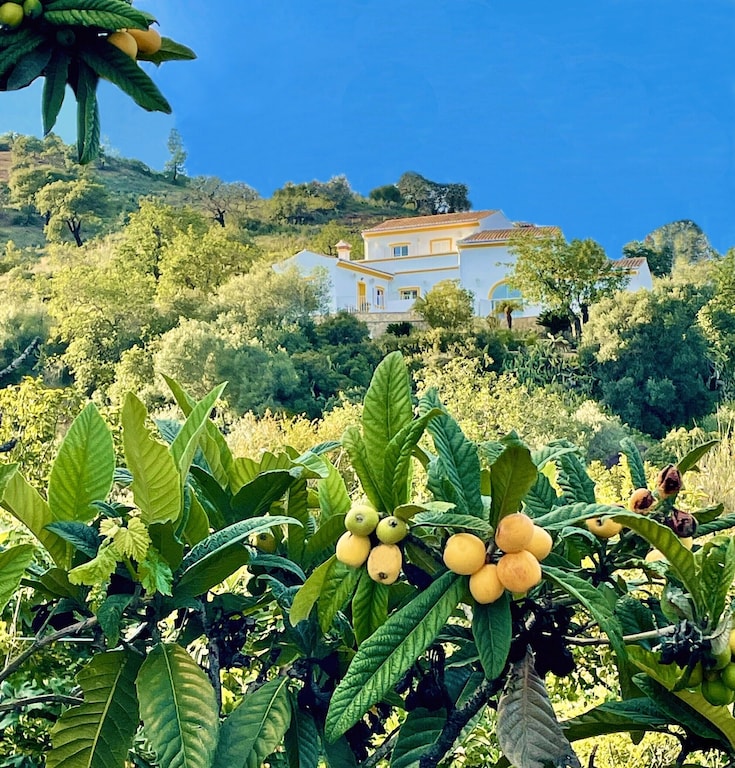 Image of Urbanização Tavira Garden