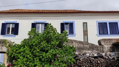 CASA CISKA