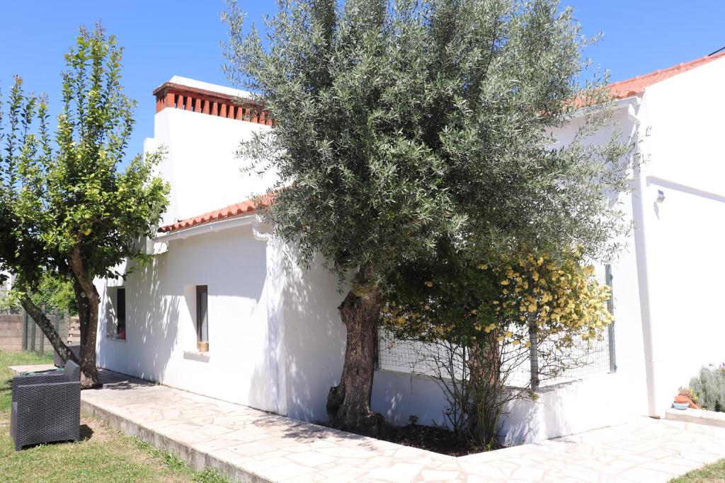 QUINTA DA FÉ