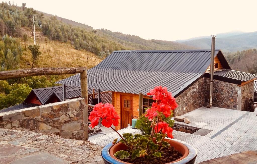 Image of Casa do Ouriço