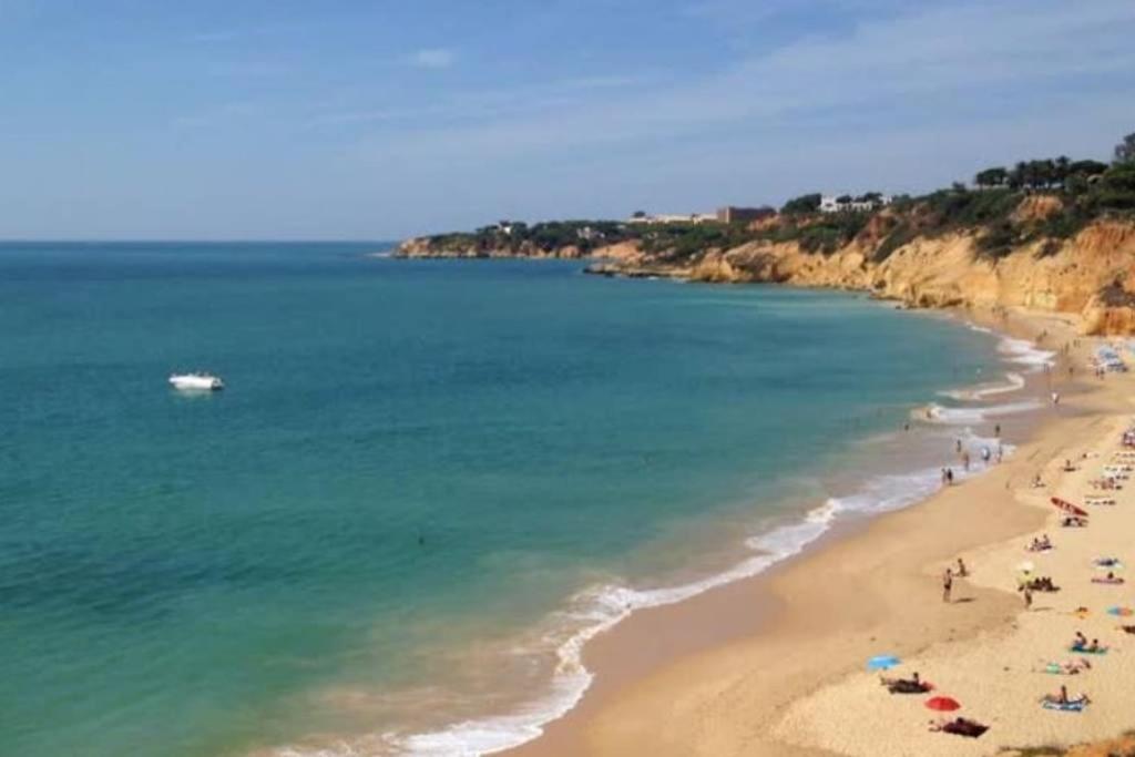 Image of OASIS Praia