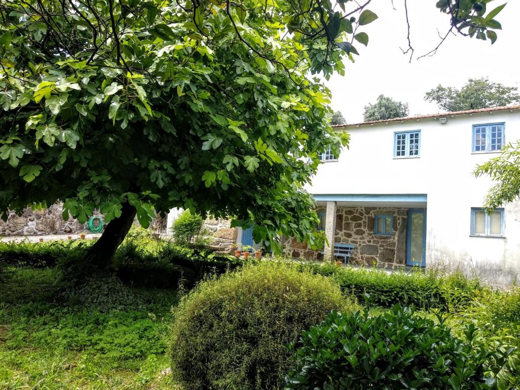 Image of Casa Ana Monteiro
