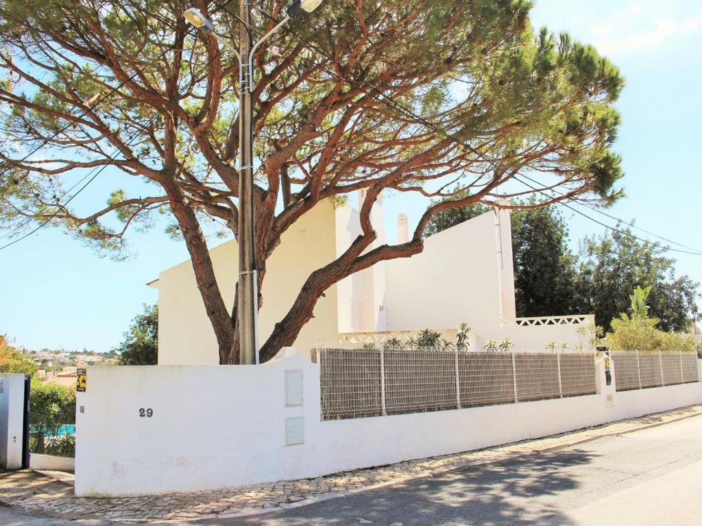 Image of Casa Pinheiros - Carvoeiro