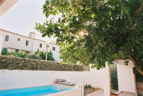 CASA DAS TERMAS