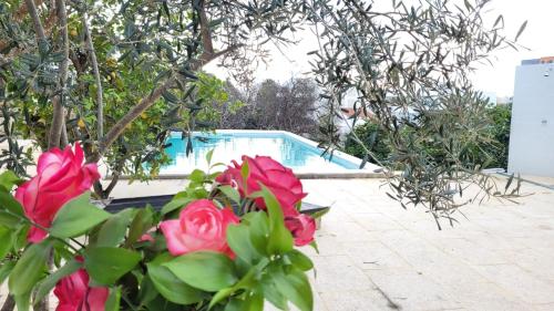 Image of Casa Lemarquis