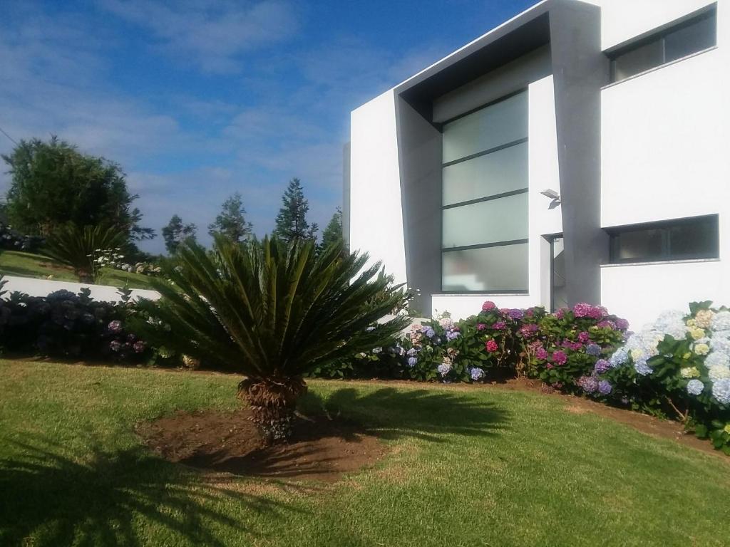 Image of CASA DO LIMÃO