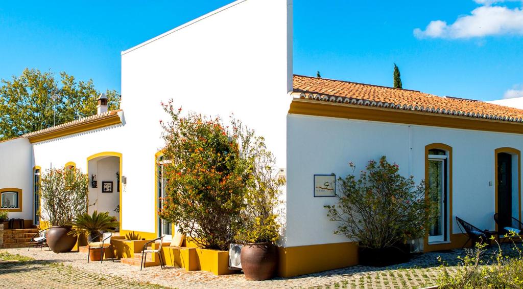Image of Casa 5