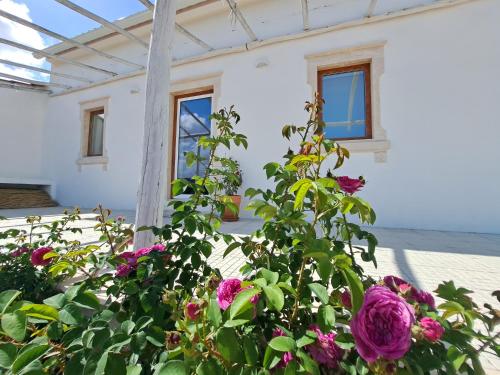 Image of LandalHouse