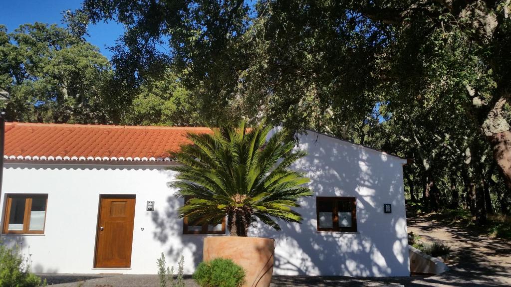 CASA LARANJA
