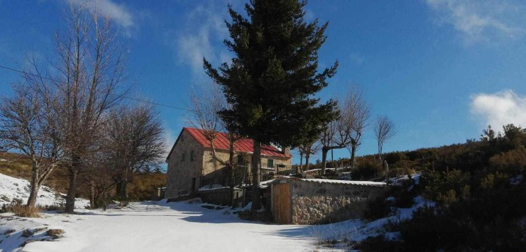 Image of O Cantinho da Estrela