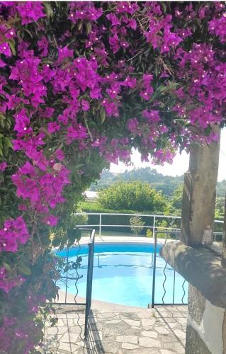 Image of QUINTA DOS CARVALHOS