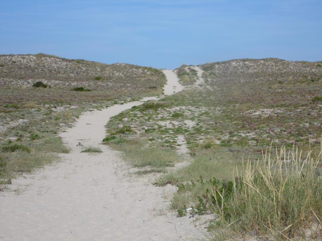 Image of Dune House