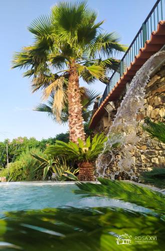 Image of ROSA XVI Garden Guest House