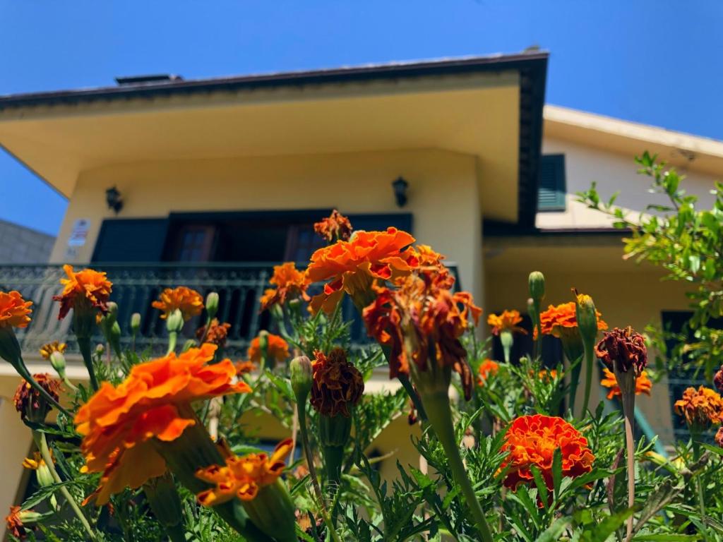 Image of Casa São Simão
