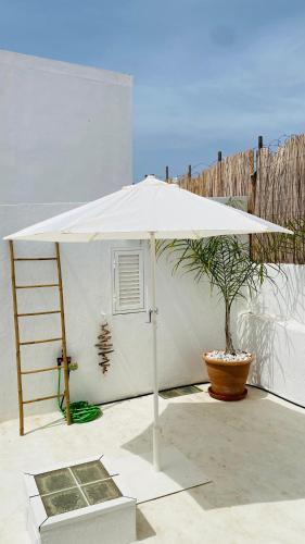 CASA AMANDA