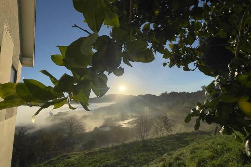 Image of Quinta da Luena
