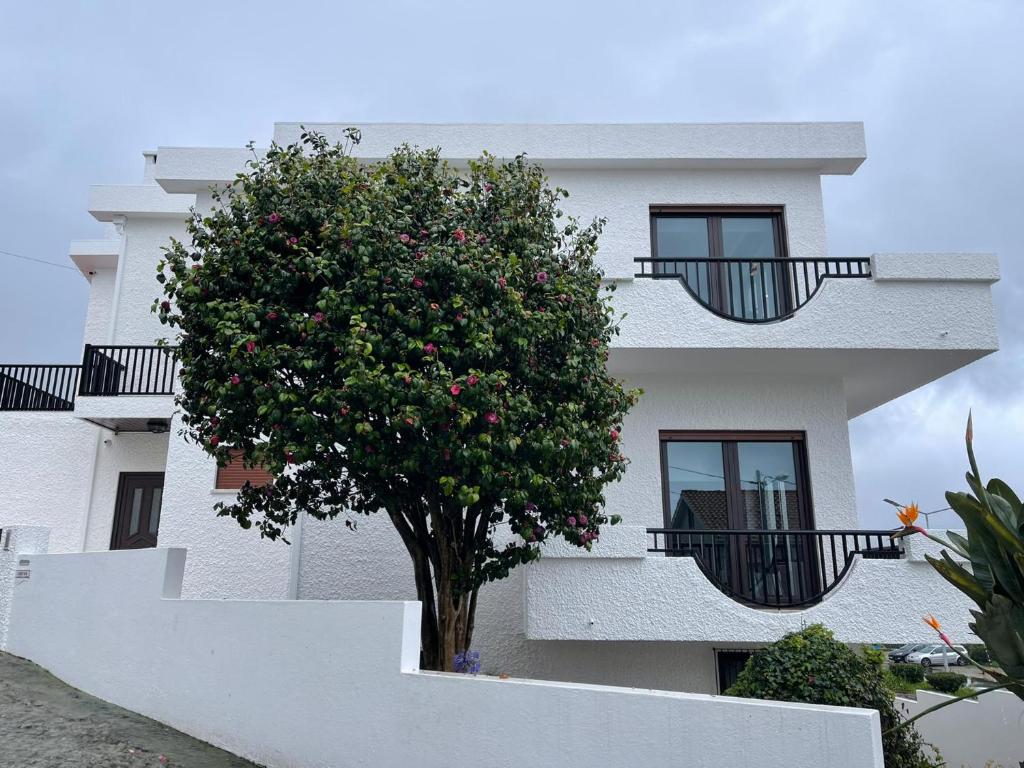 Image of CASINHA EM VILA PRAIA DE ÂNCORA