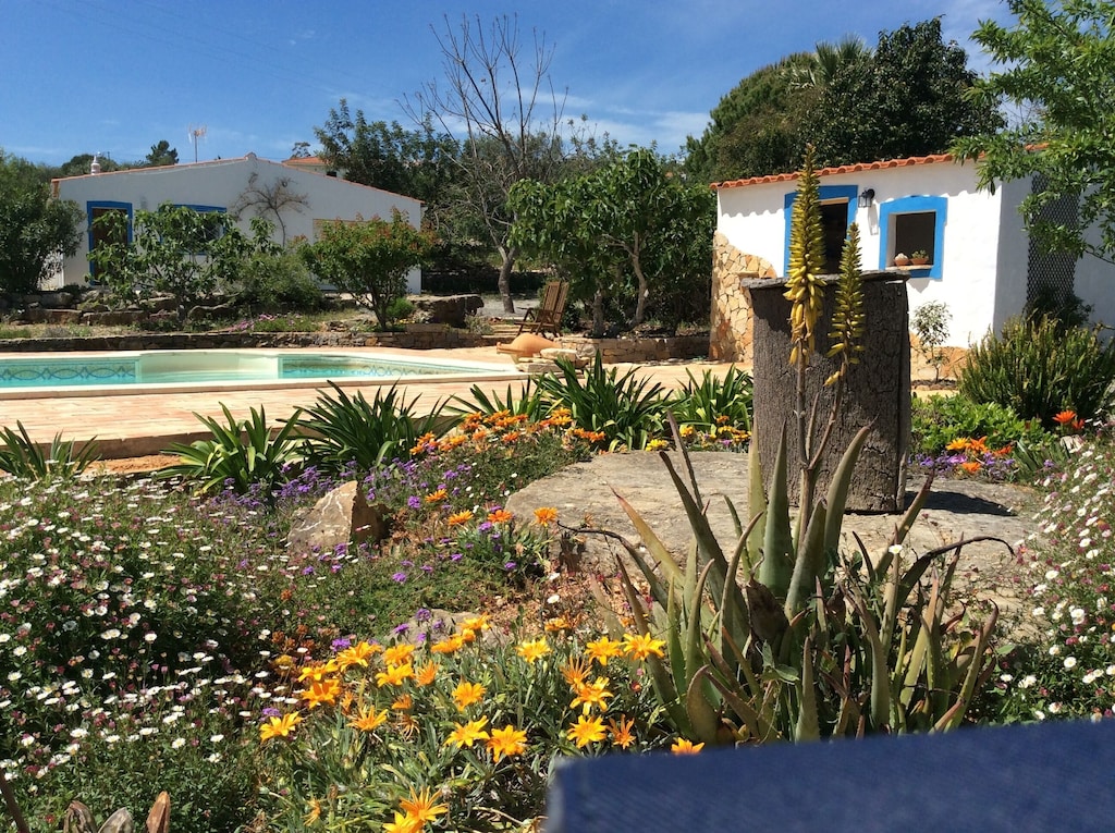 Image of Casa Violeta