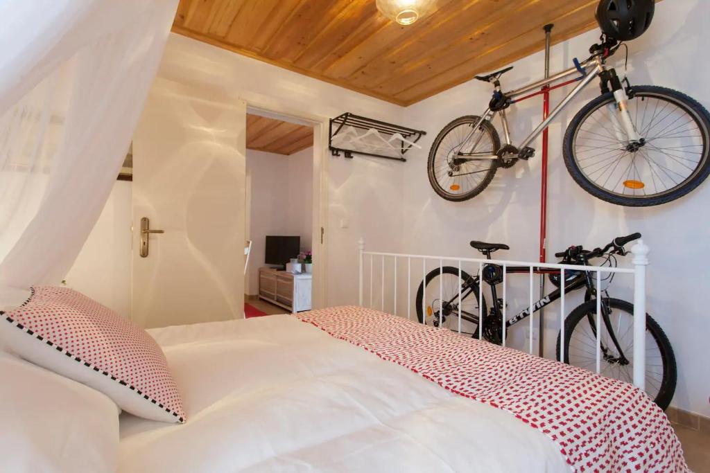 Image of Castelo Blue Studio