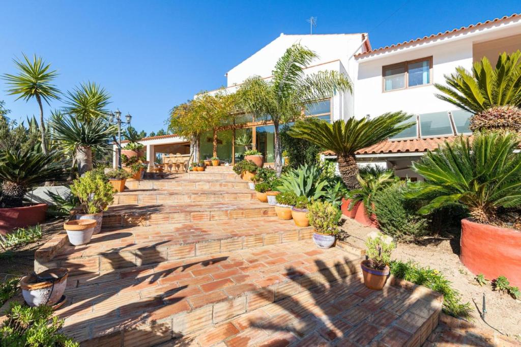 Image of CASA O PALMEIRAL