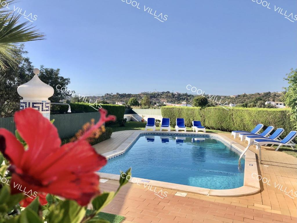 Image of Casa Lilac