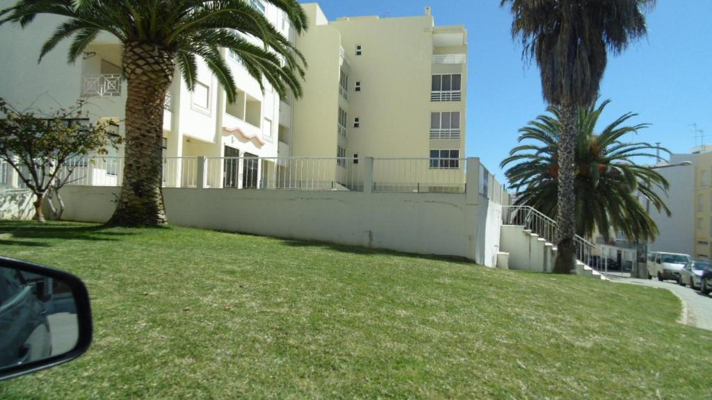Image of AMENDOEIRAS