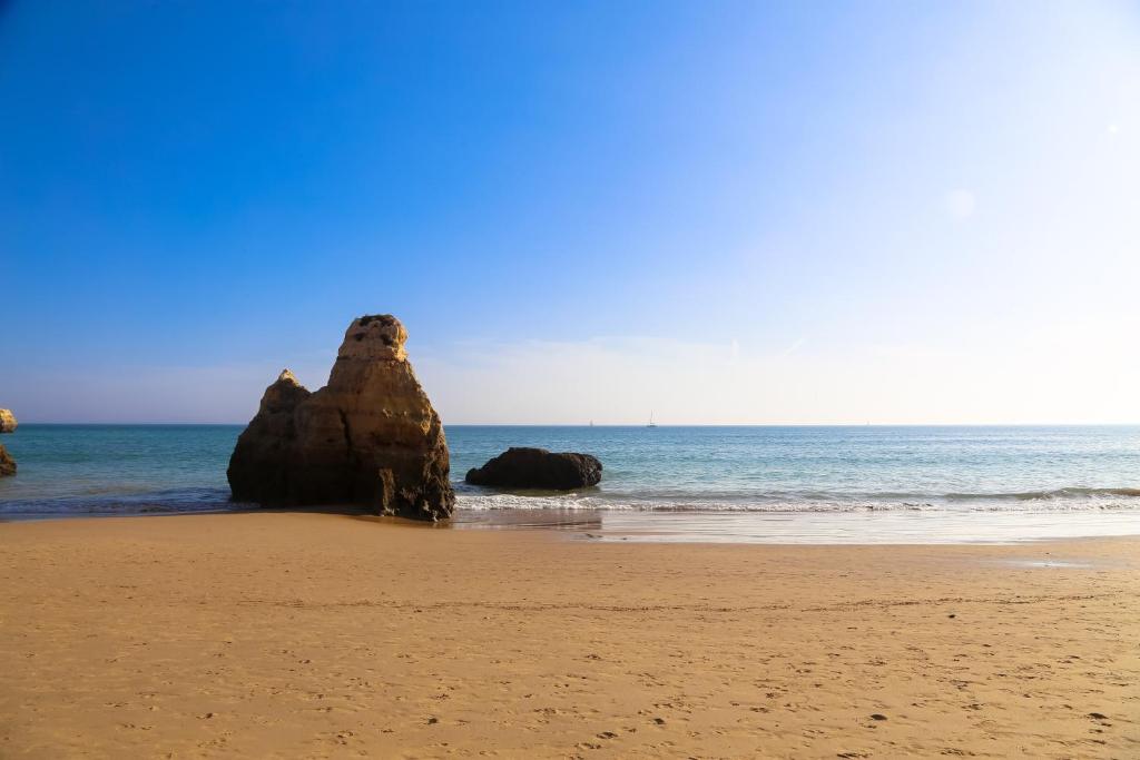 Image of Catchmorning