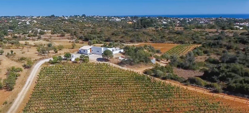 Image of Casa Vinha Velha