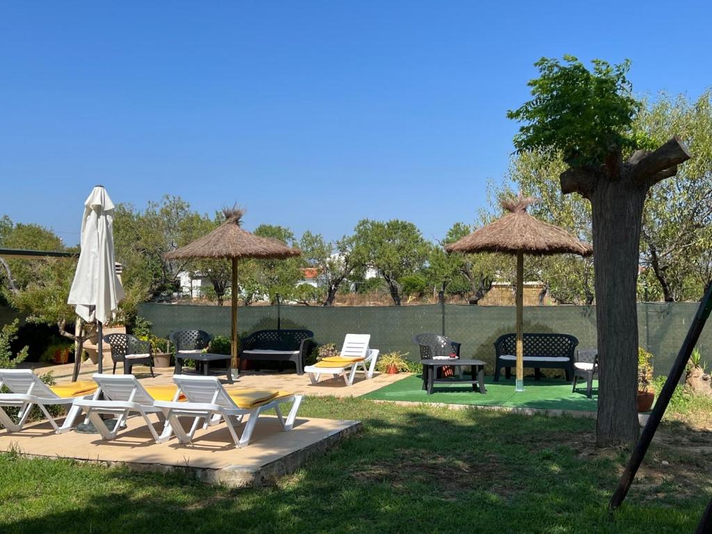 Image of Quinta dos Viegas - Casa Estrelicia