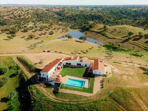 Image of Flor do Campo