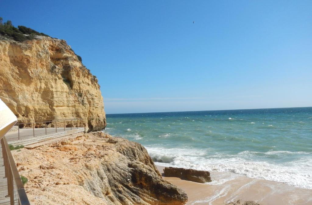 Image of CARVOEIRO SOL