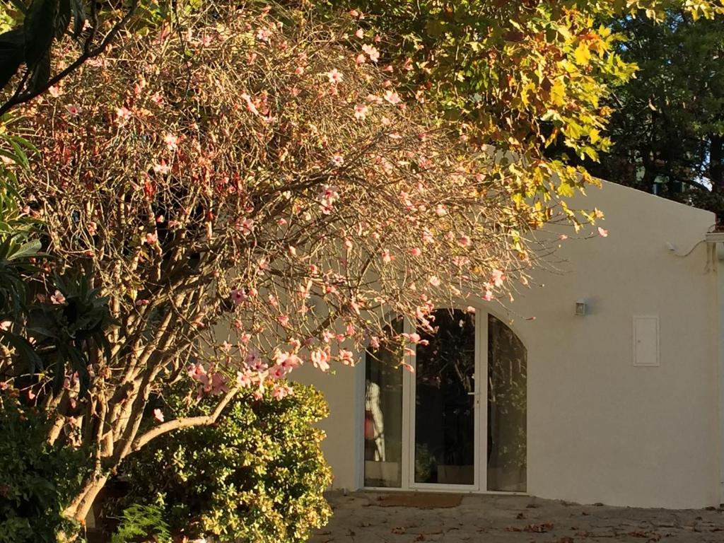 Image of Casa do Hibisco