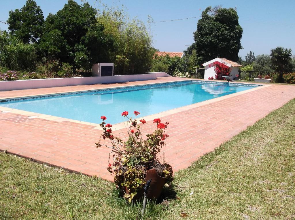 Image of Lunamonte