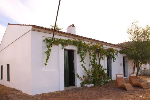 Image of Casa de Monte Poço