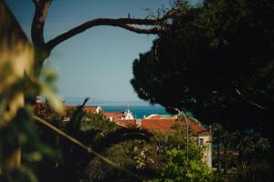 Image of Cozy Houses