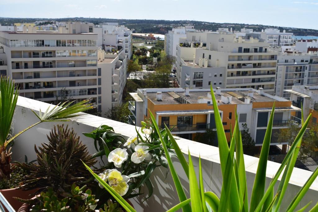 Image of APARTAMENTO BOAS FÉRIAS