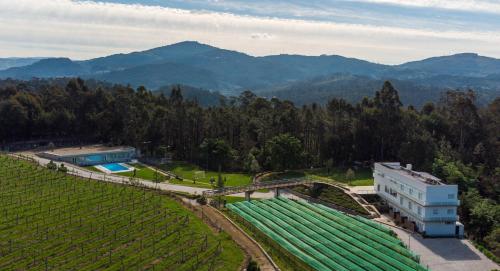 Image of Funileiro