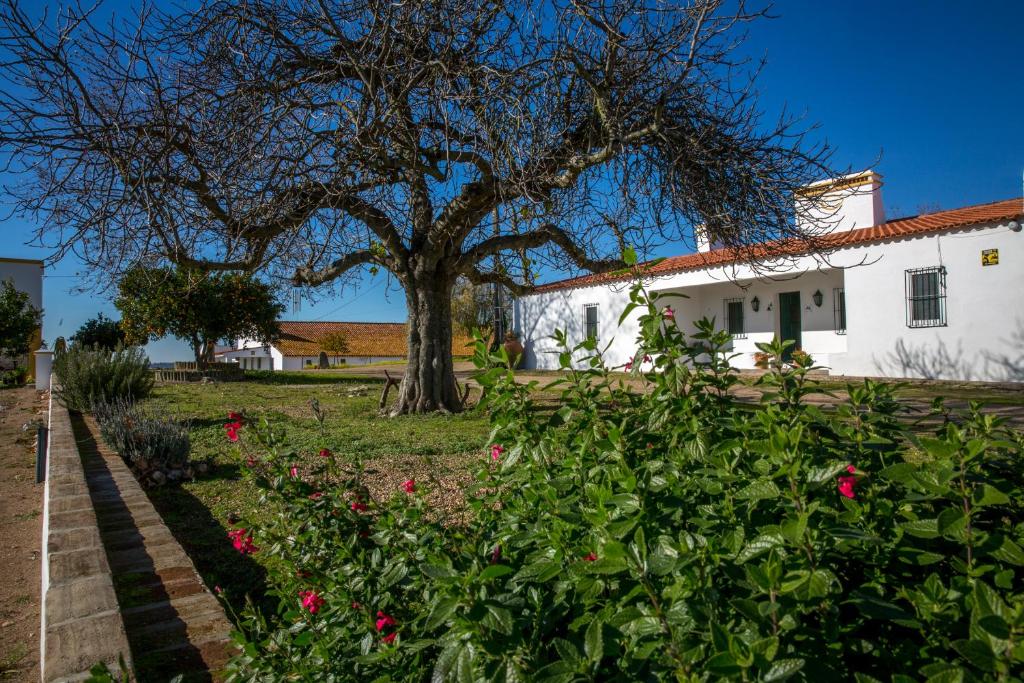 Image of Casa Agrícola Herdade do Poçinho